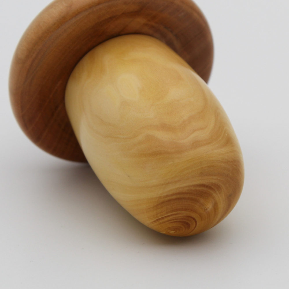 Bas du gland en bois