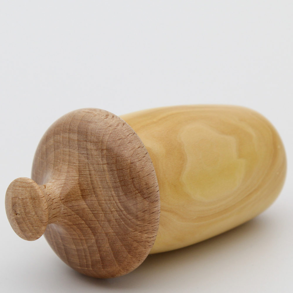 Couvercle de la boîte gland