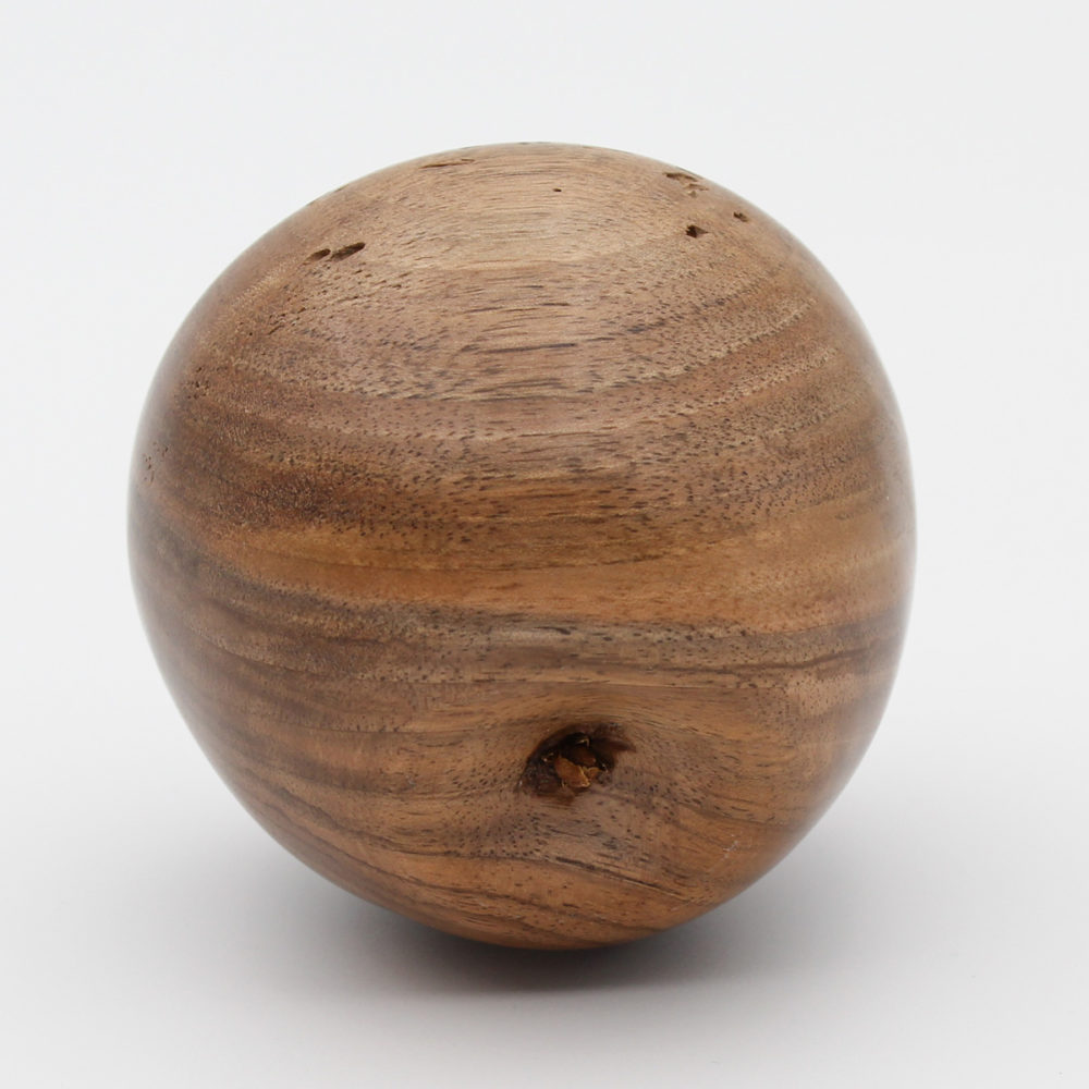 Arrière de la pomme