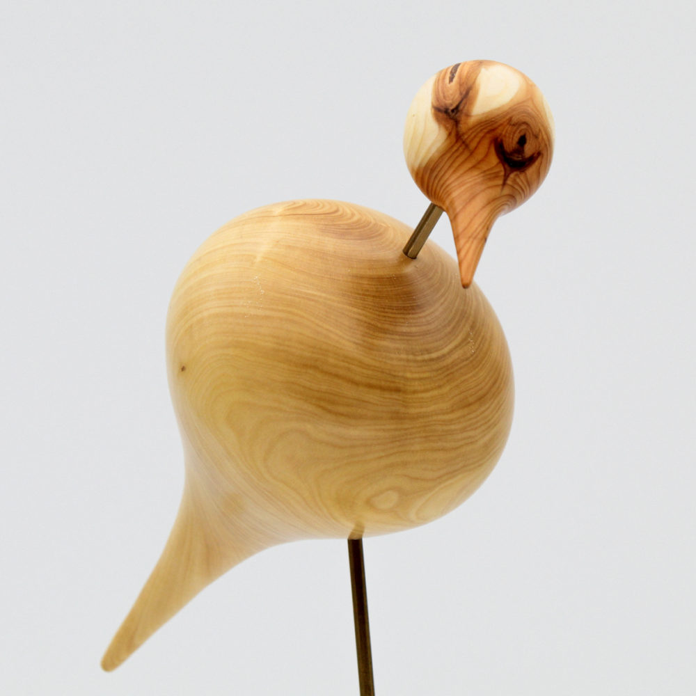 oiseau en bois de buis vu de près de face