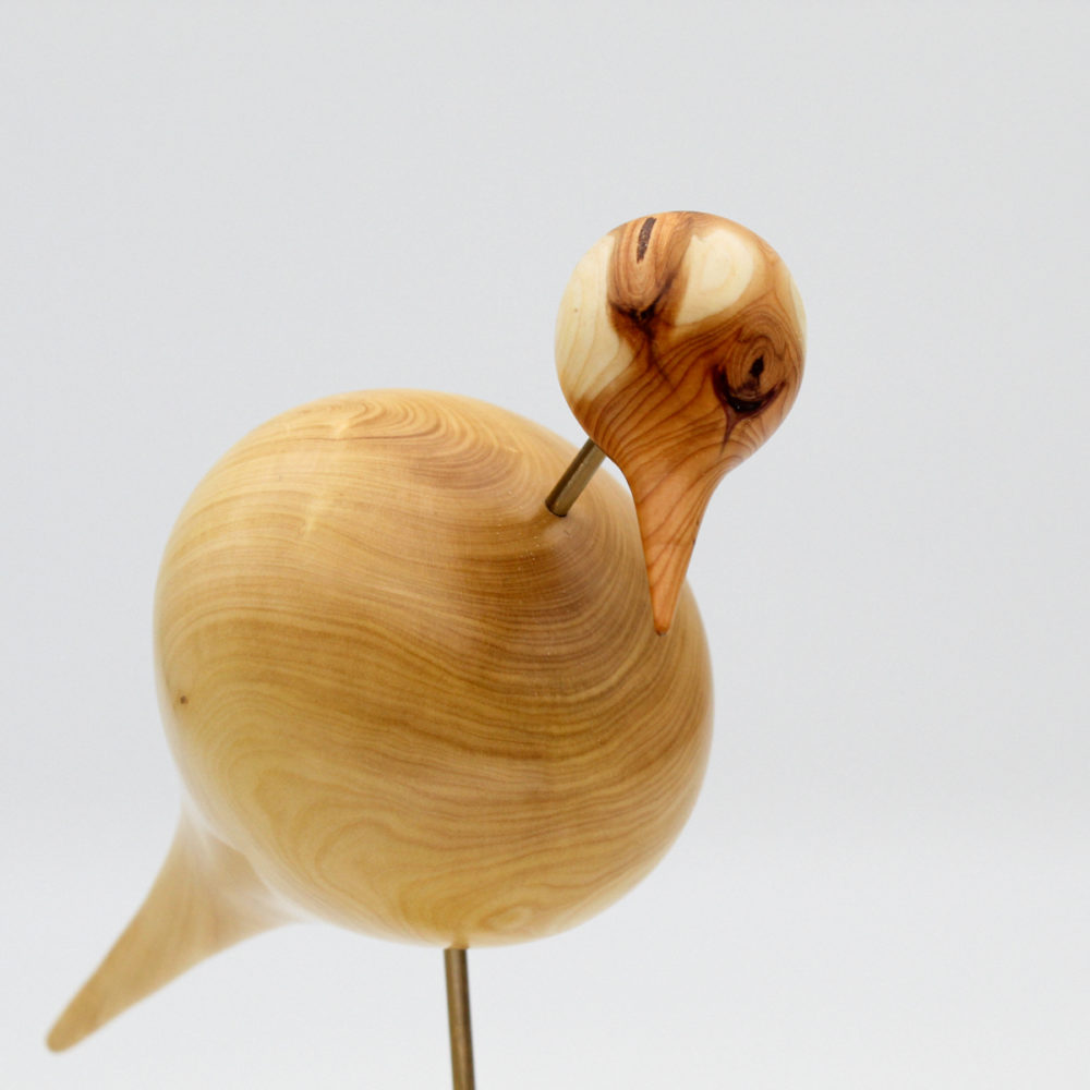 oiseau en bois de buis gros plan de la tête et du corps