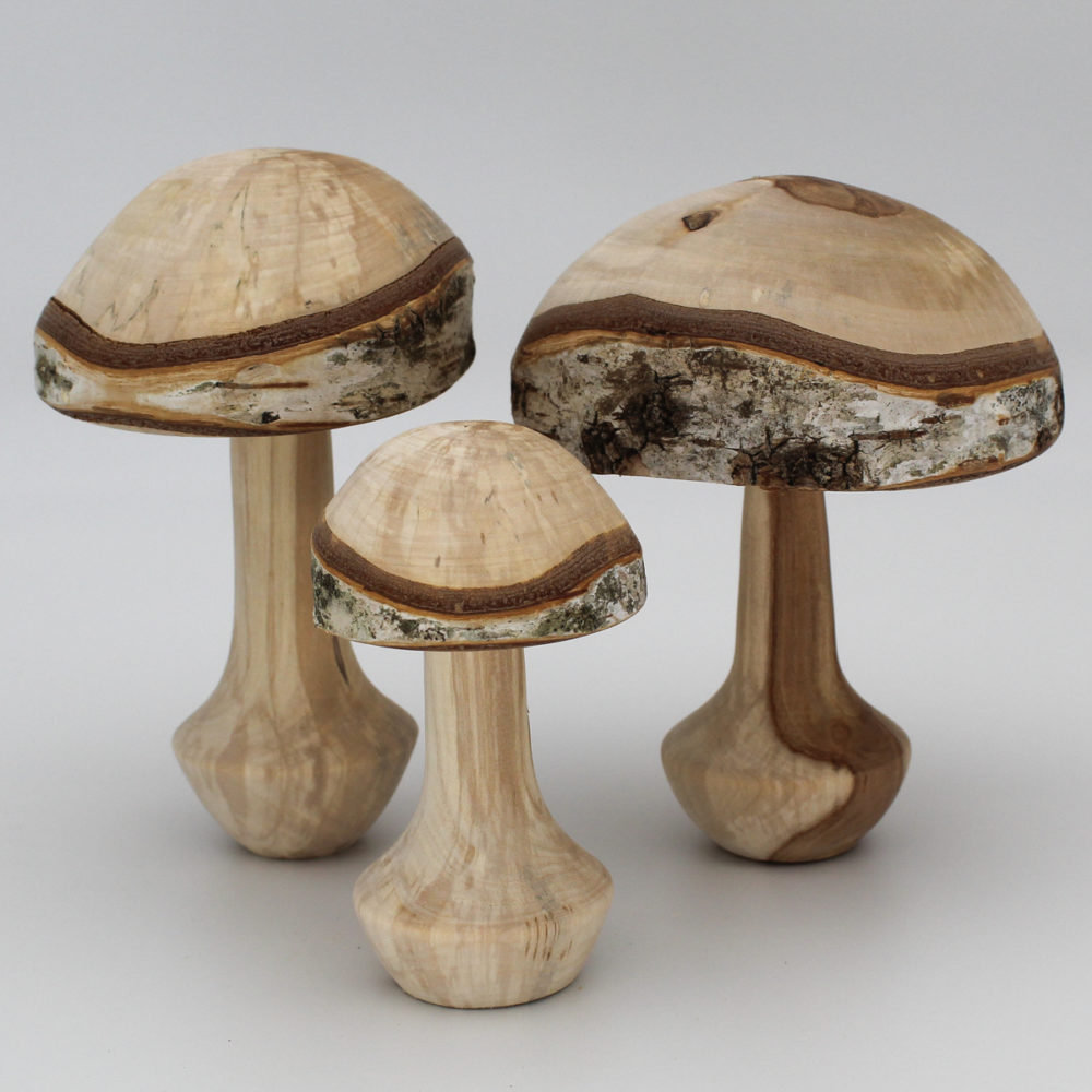 Trois champignons décoratifs en bois de bouleau vus de face de près