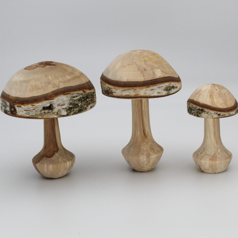 Trois champignons décoratifs en bois de bouleau alignés vue de coté