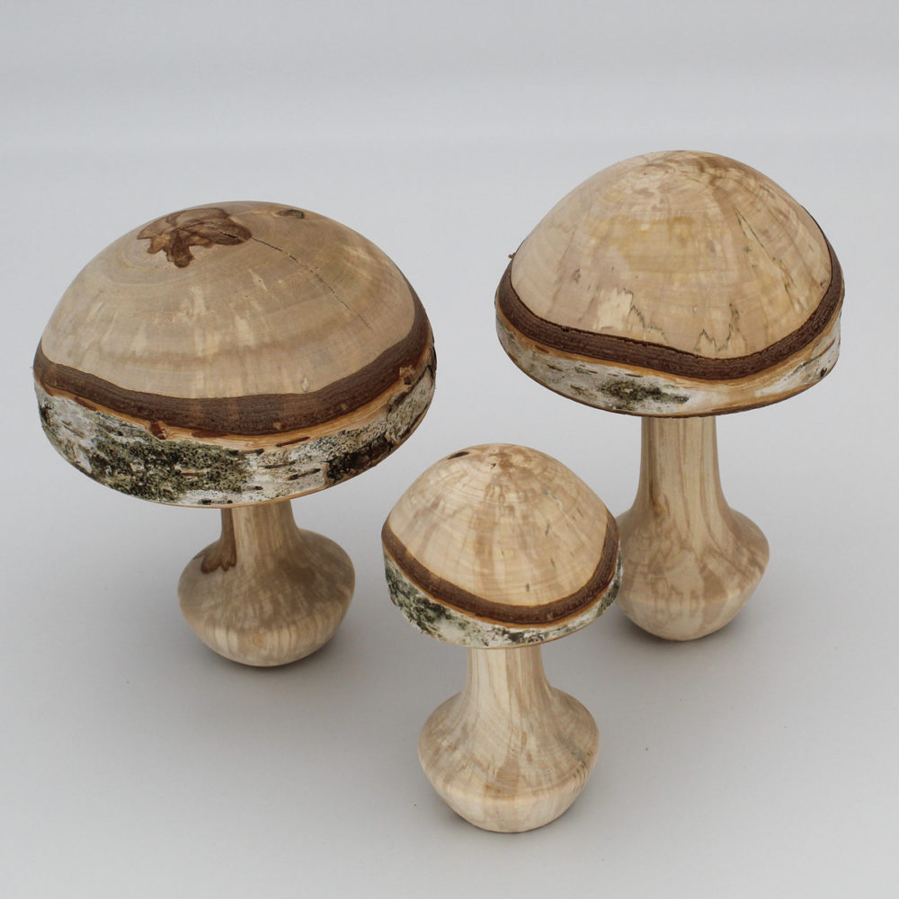 Trois champignons décoratifs en bois de bouleau vue de dessus