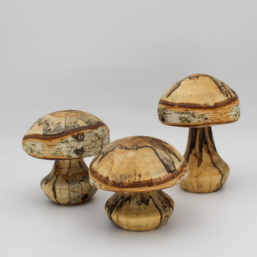 Trio de champignons décoratifs en bois de bouleau échauffé vue de face
