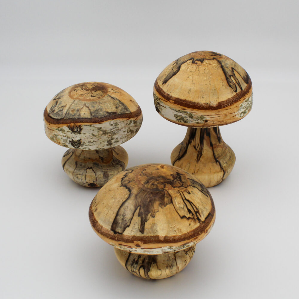 Trio de champignons décoratifs en bois de bouleau échauffé vue de dessus
