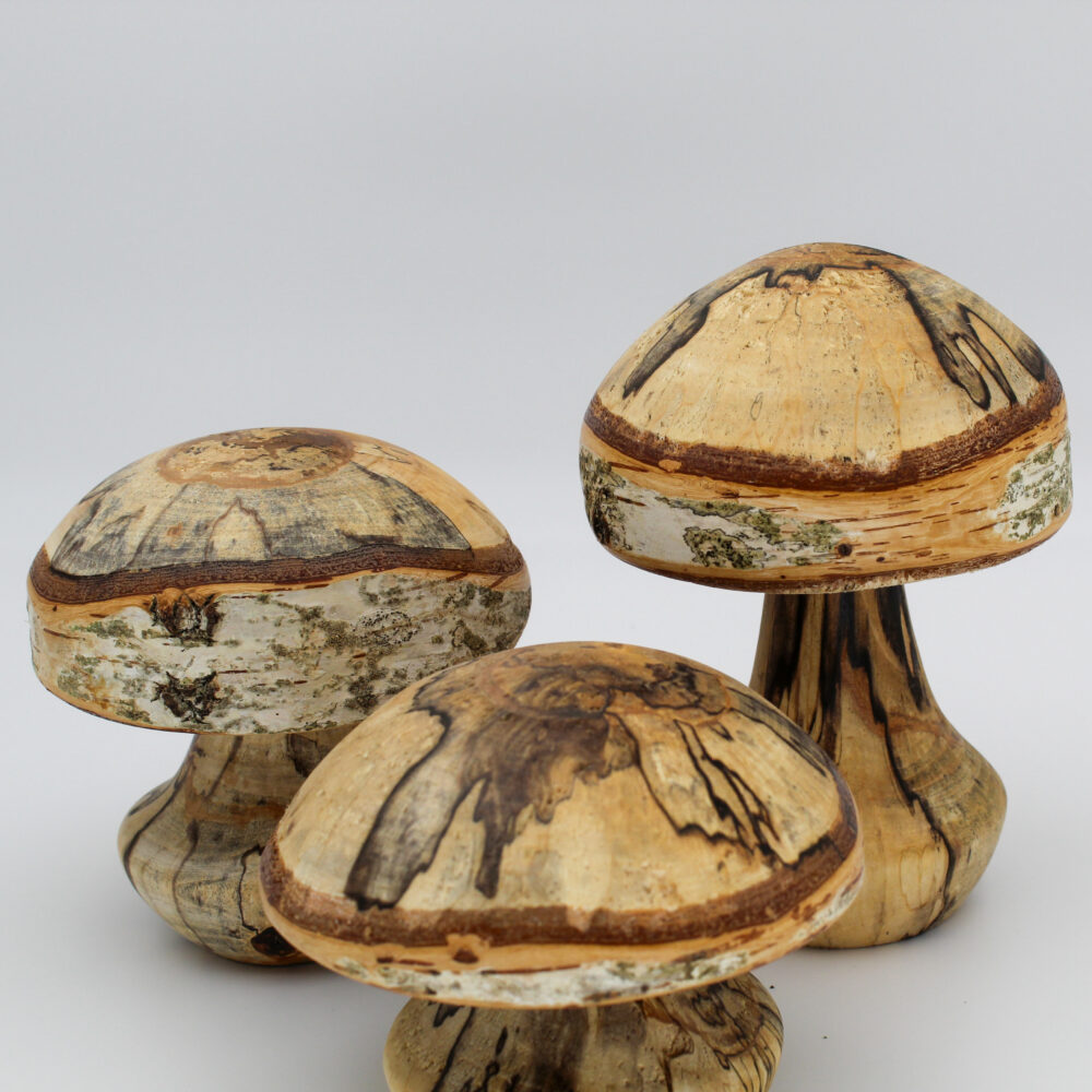 Trio de champignons décoratifs en bois de bouleau échauffé vue de près