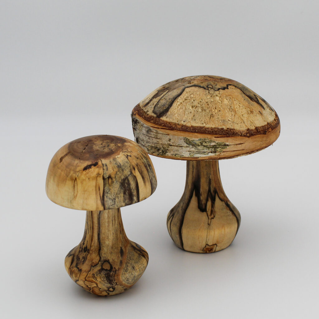 Duo de champignons décoratif en bois de bouleau échauffé vue de dessus