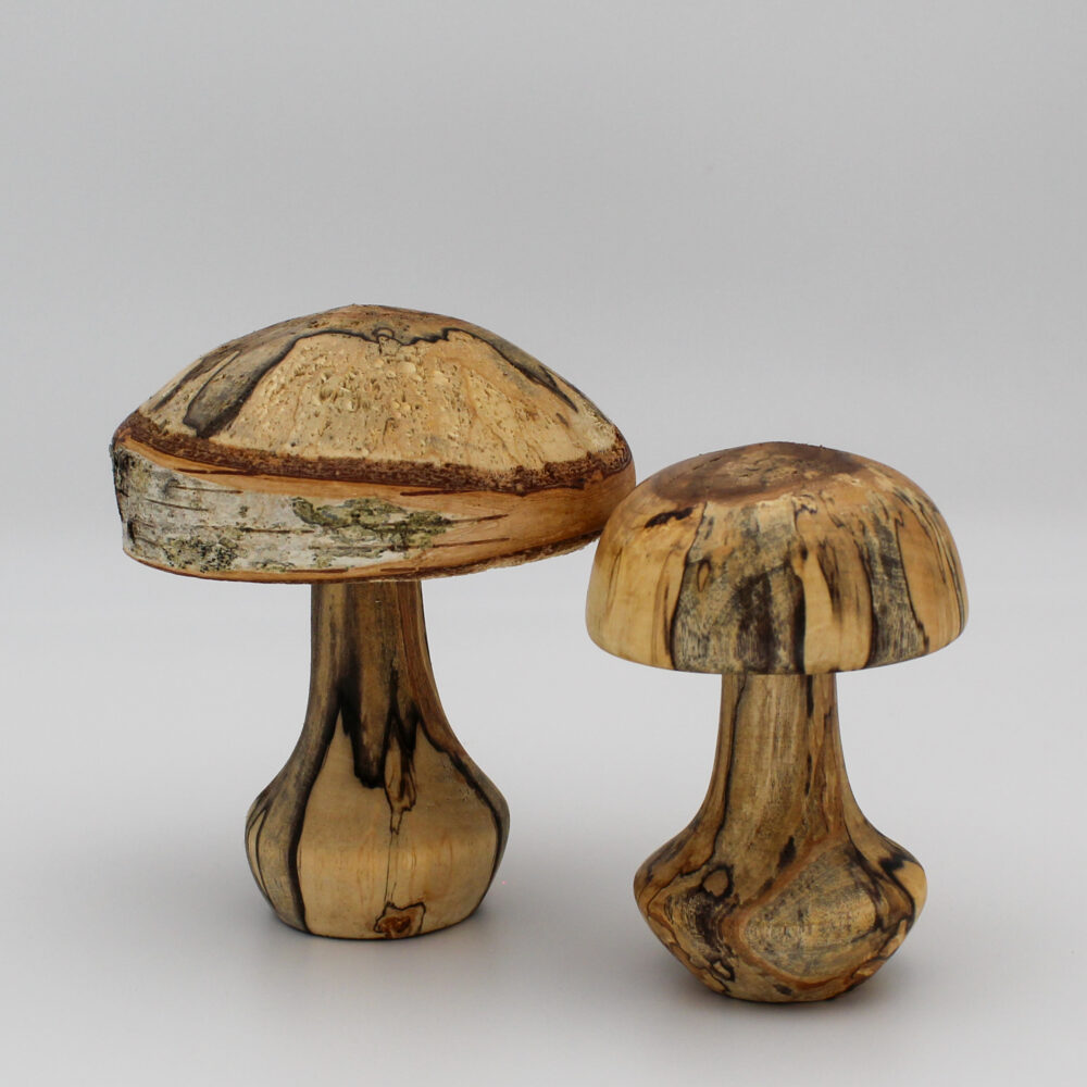 Duo de champignons décoratif en bois de bouleau échauffé vue de face