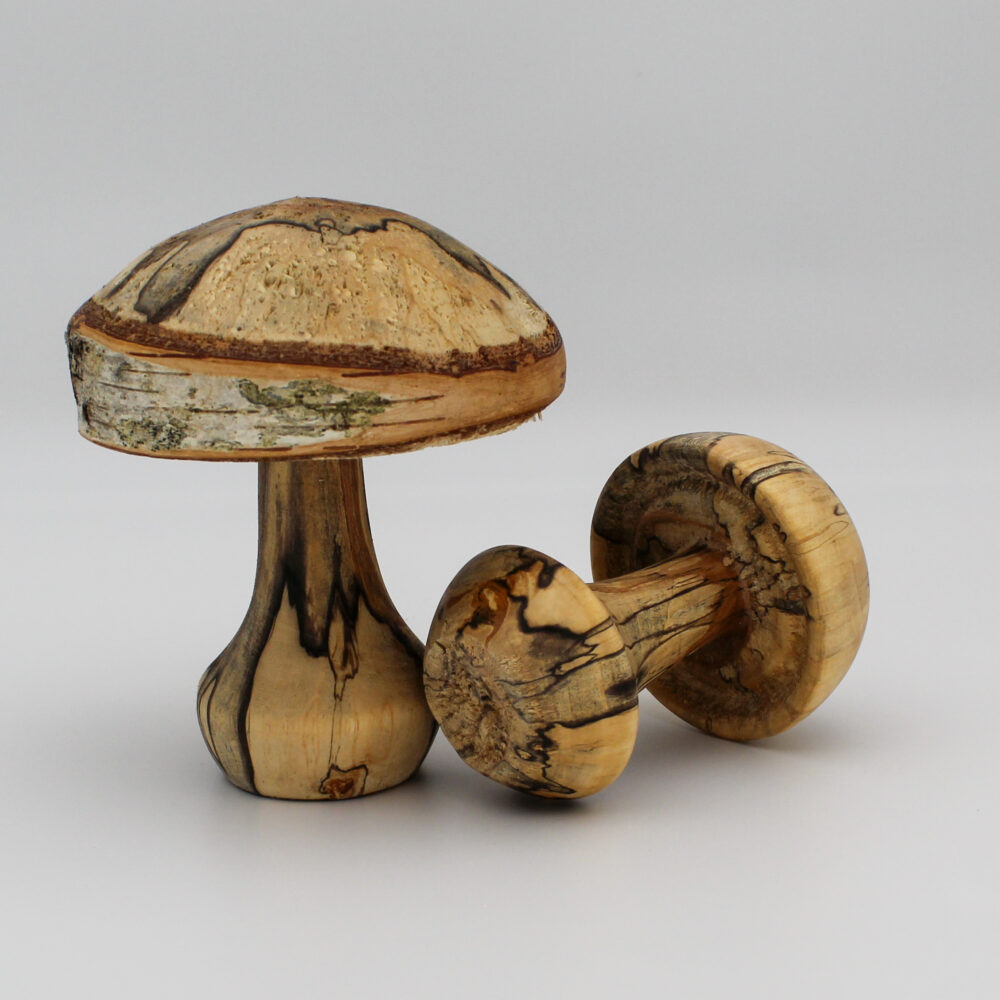 Duo de champignons décoratif en bois de bouleau échauffé vue de coté un champignon renversé