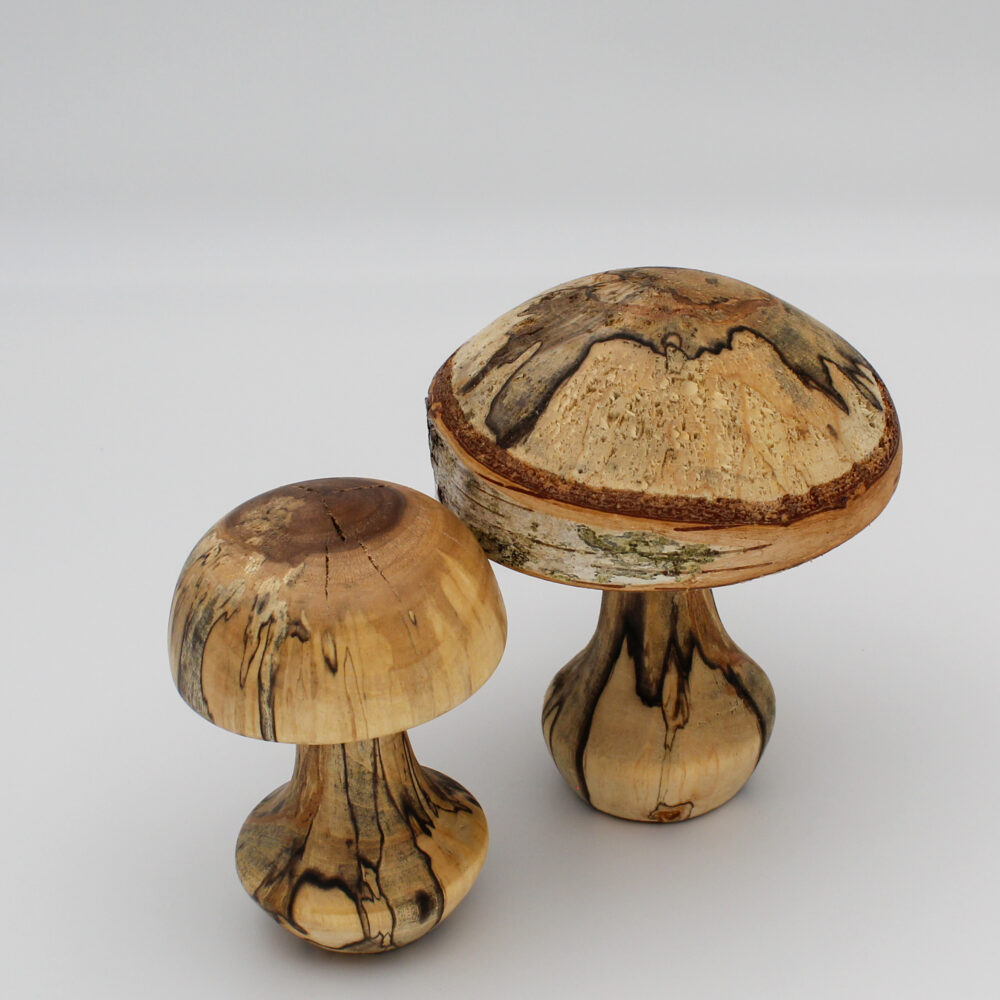 Duo de champignons décoratif en bois de bouleau échauffé vue de dessus