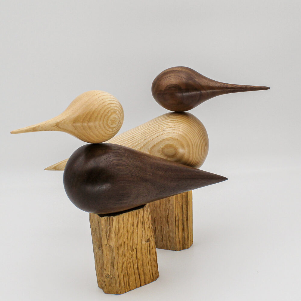deux oiseaux en bois de frêne et bois de noyer cote à cote vue de côté