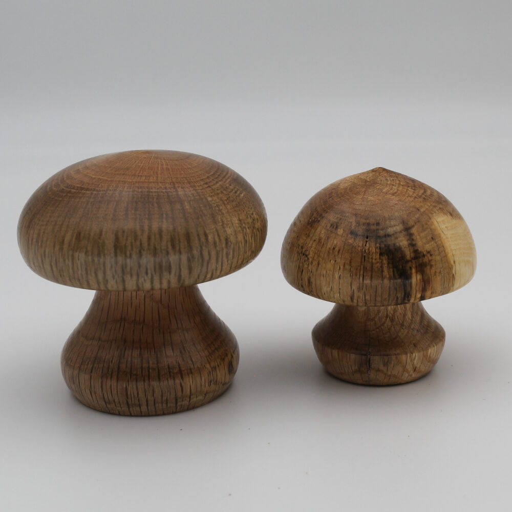 Duo champignons décoratifs en bois