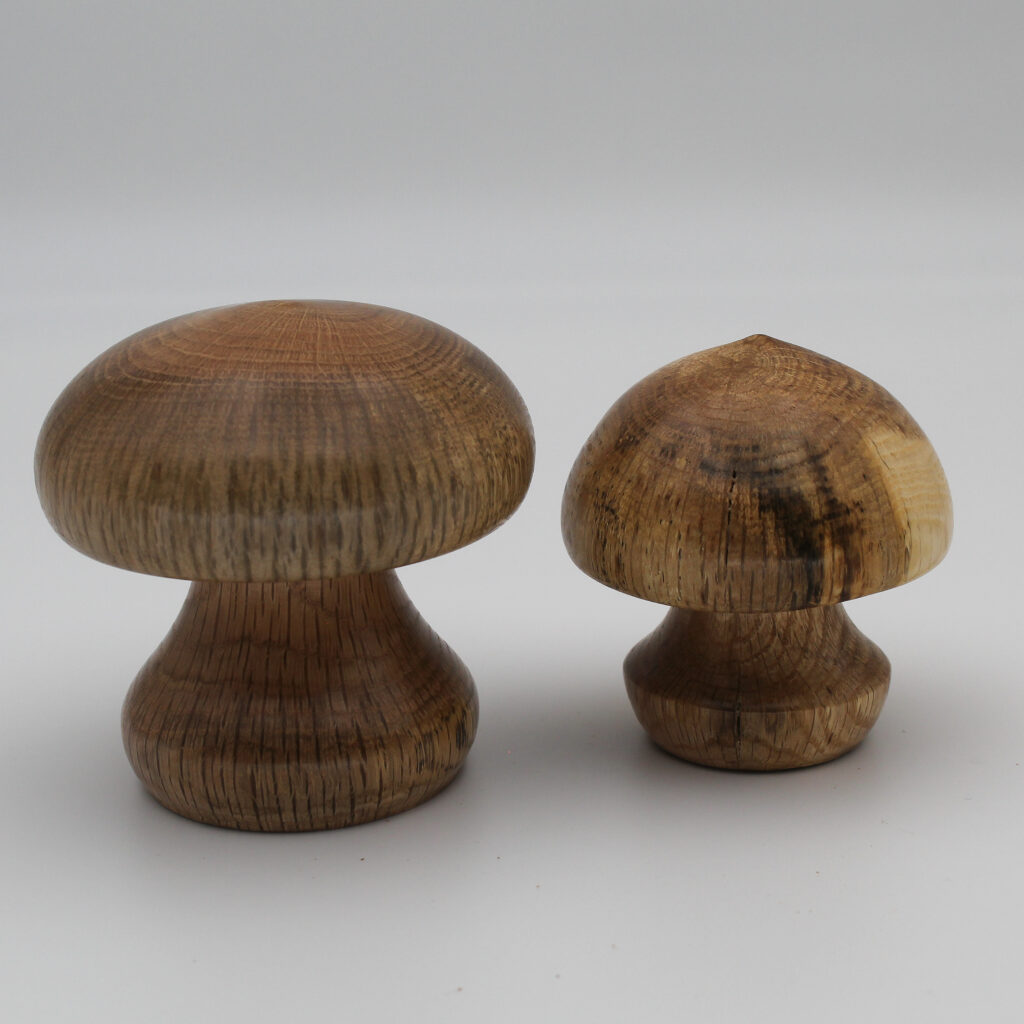 Duo champignons décoratifs en bois