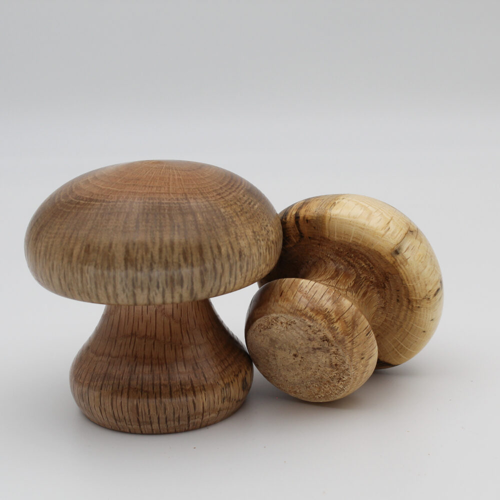 Duo champignons décoratifs en bois