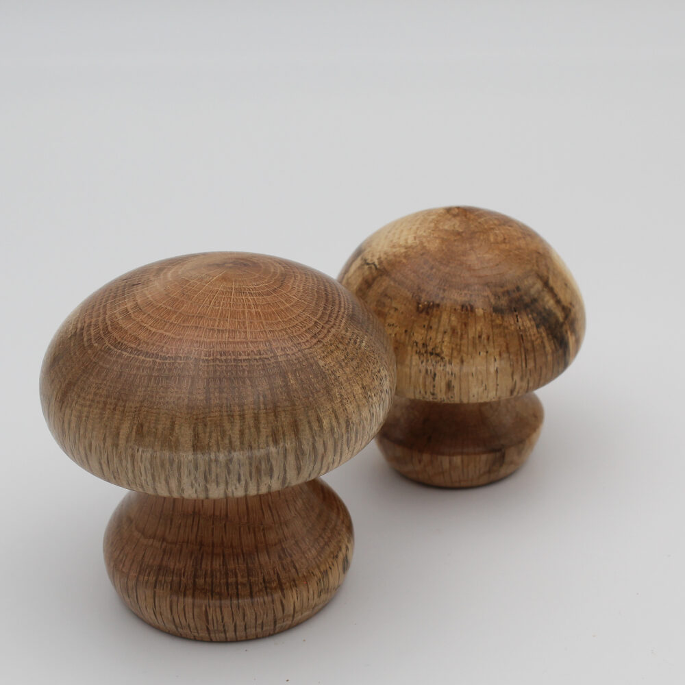 Duo champignons décoratifs en bois