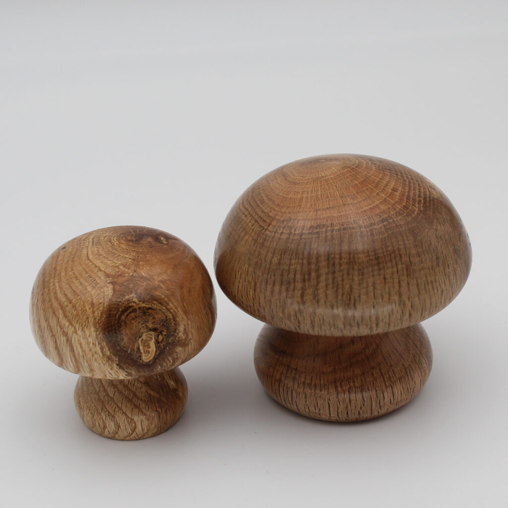 Duo champignons décoratifs en bois