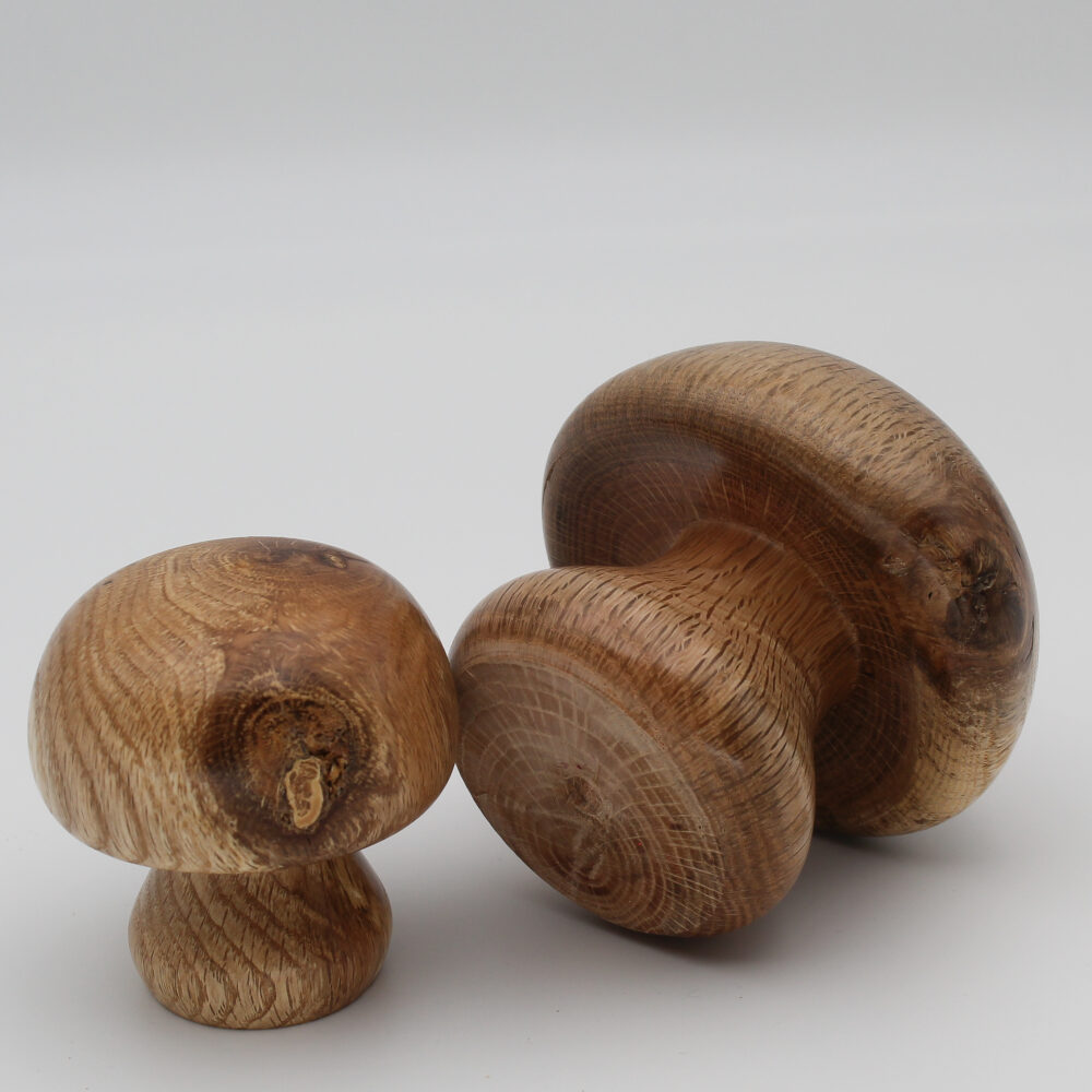 Duo champignons décoratifs en bois