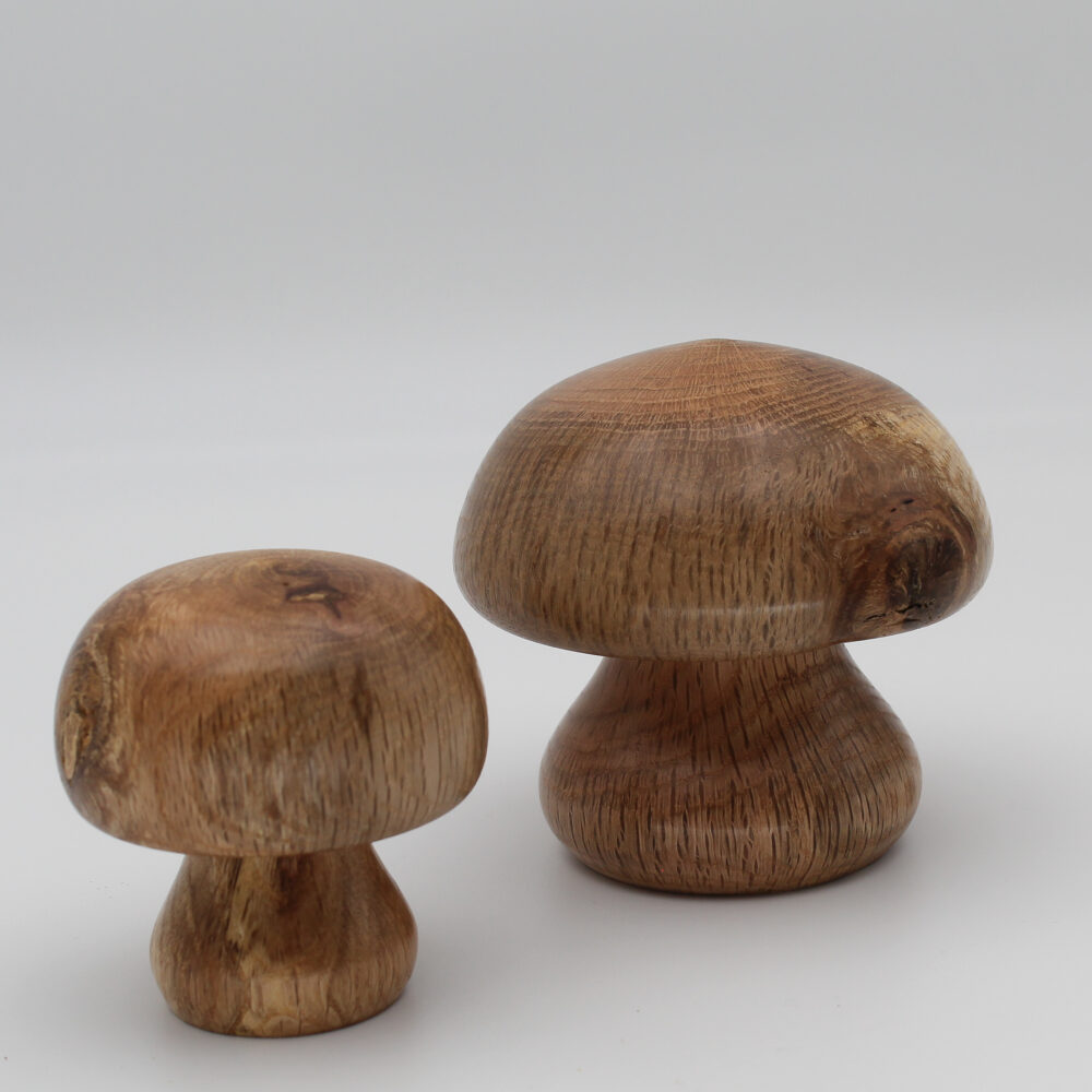 Duo champignons décoratifs en bois