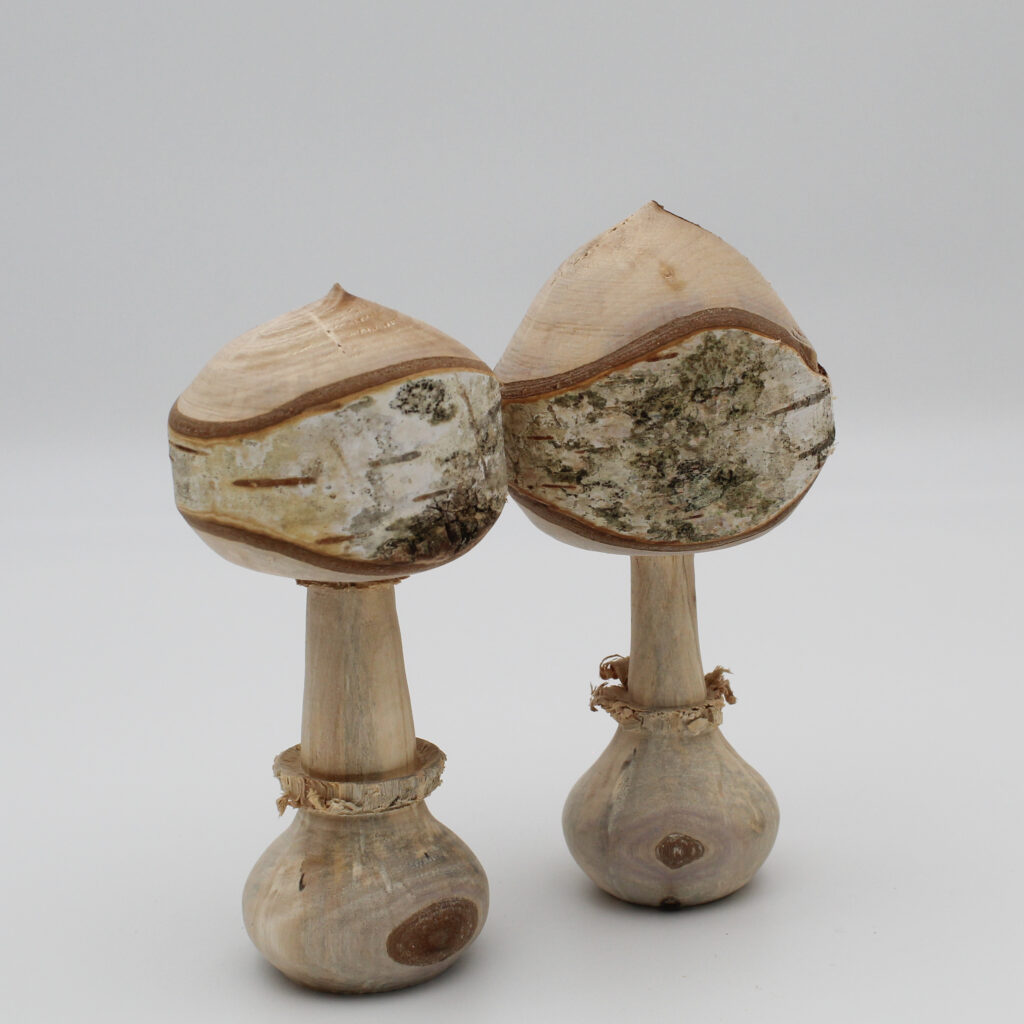 Duo champignons décoratifs en bois