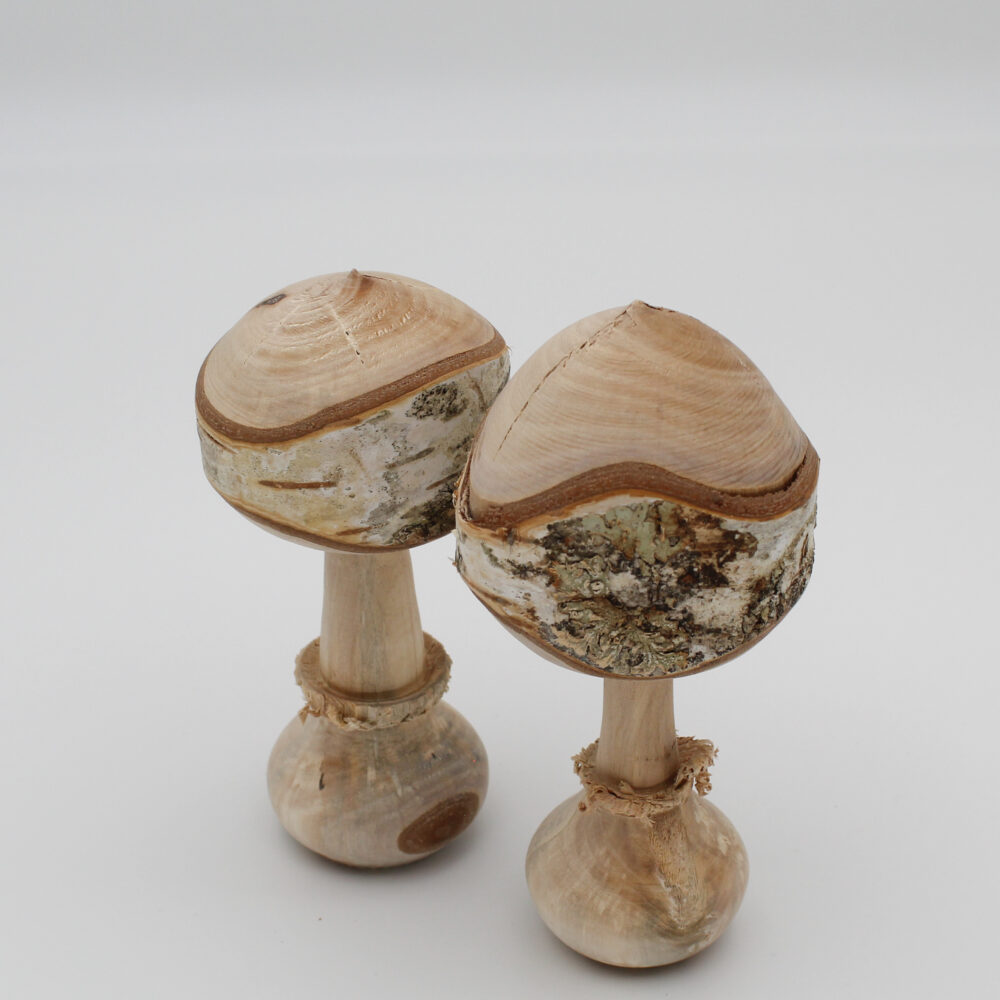 Duo champignons décoratifs en bois