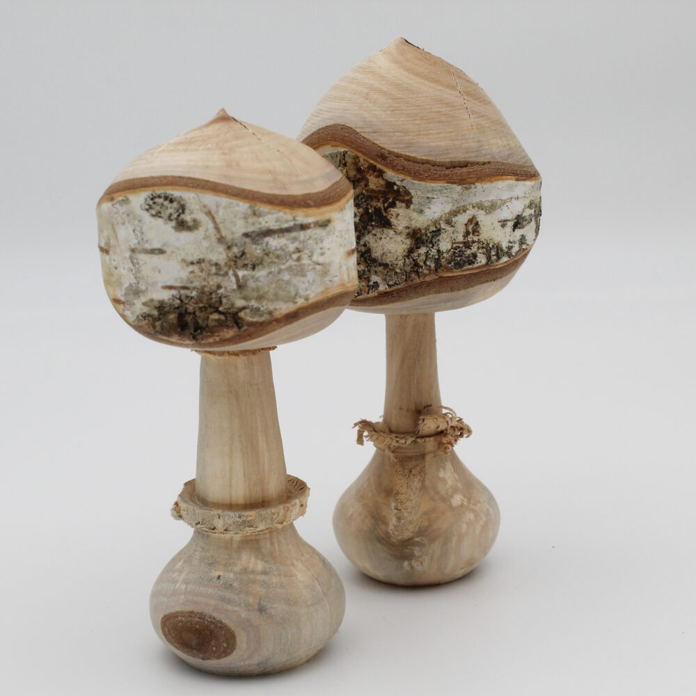 Duo champignons décoratifs en bois