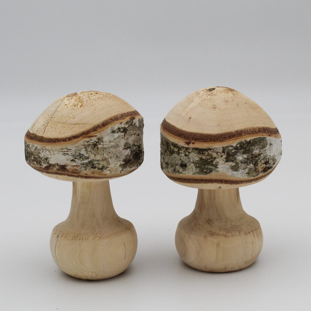 Duo champignons décoratifs en bois