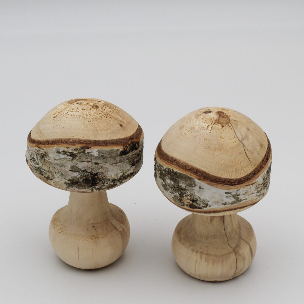 Duo champignons décoratifs en bois