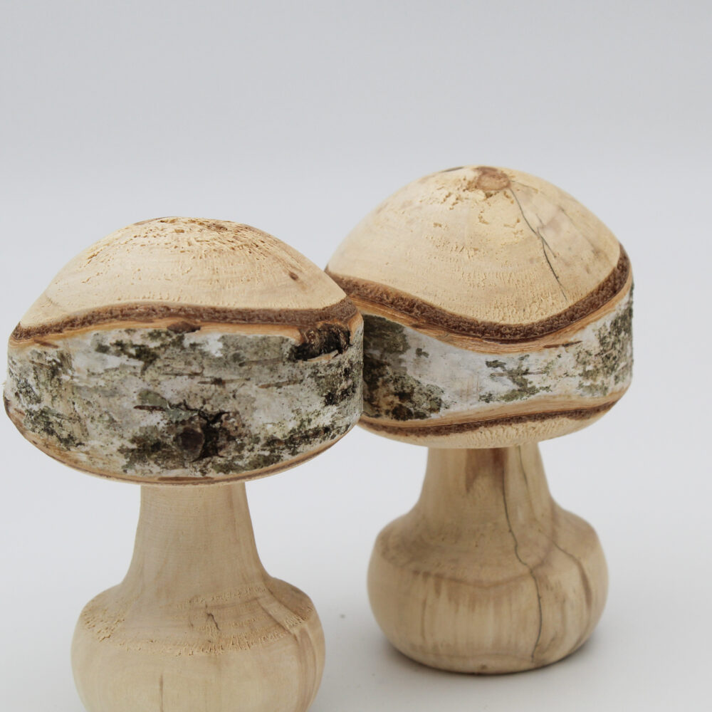 Duo champignons décoratifs en bois