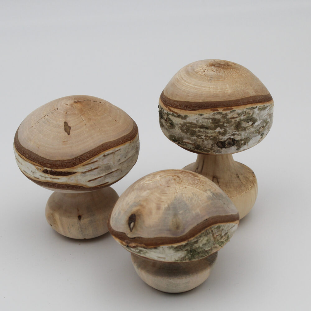 Trio champignons décoratifs en bois