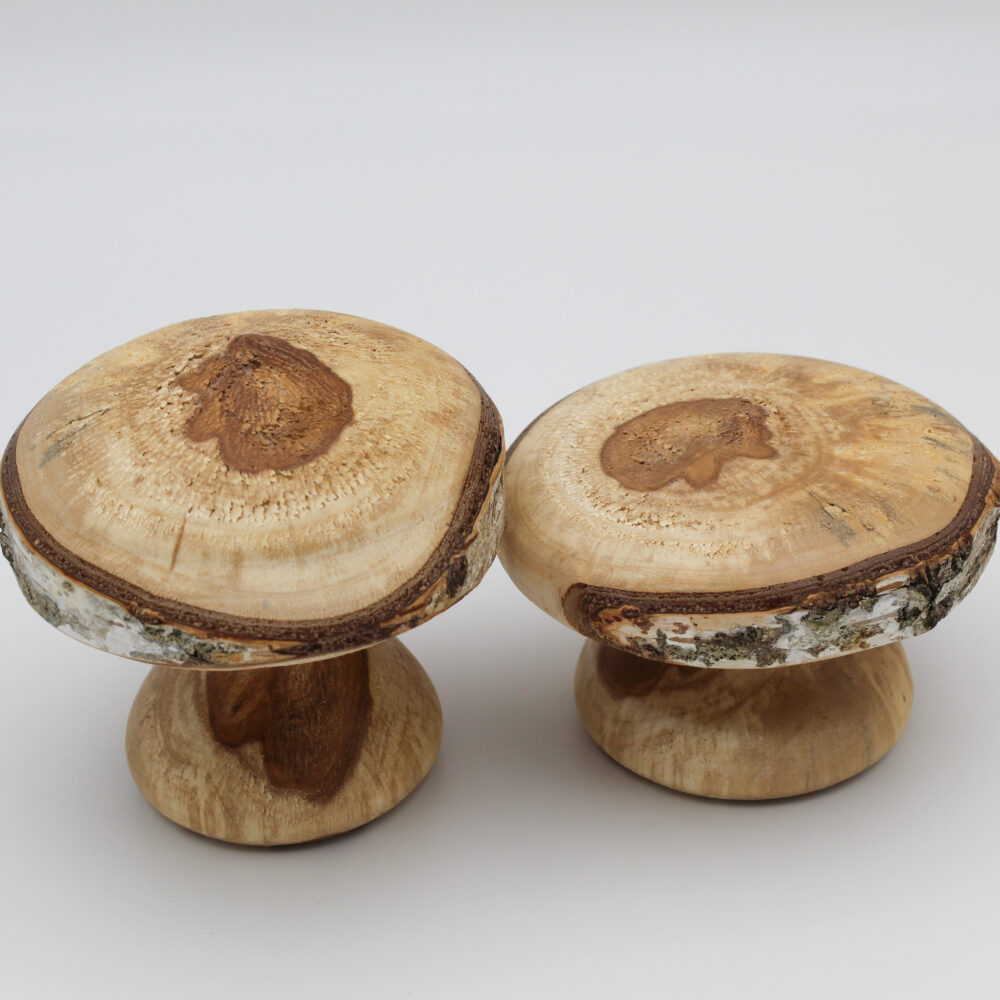 duo champignons décoratifs en bois