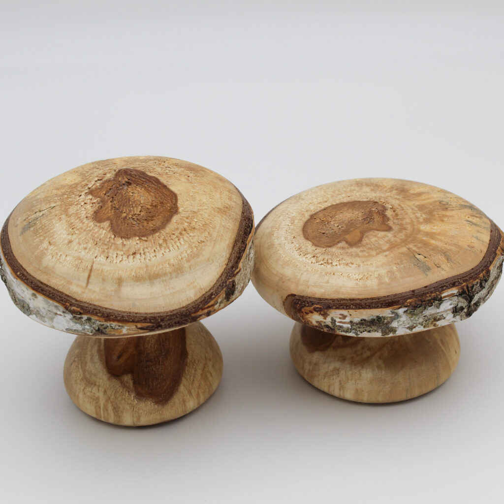 duo champignons décoratifs en bois