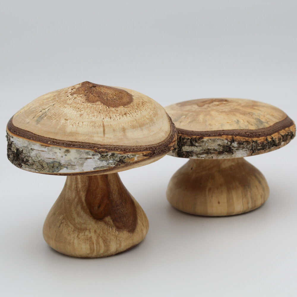 duo champignons décoratifs en bois