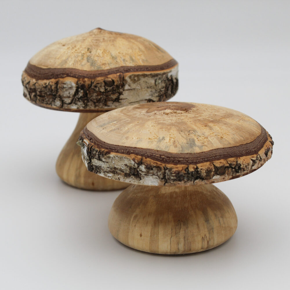 duo champignons décoratifs en bois