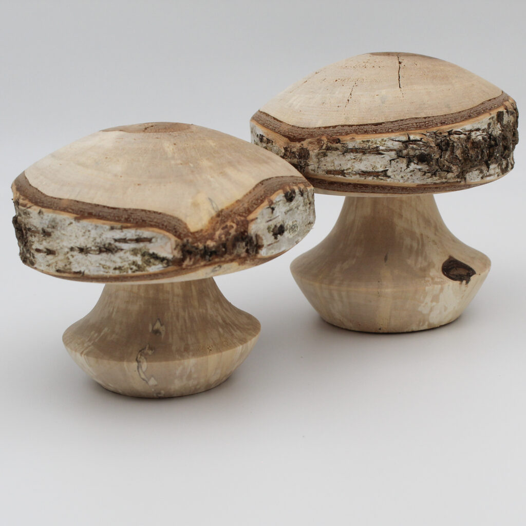 duo champignons décoratifs en bois