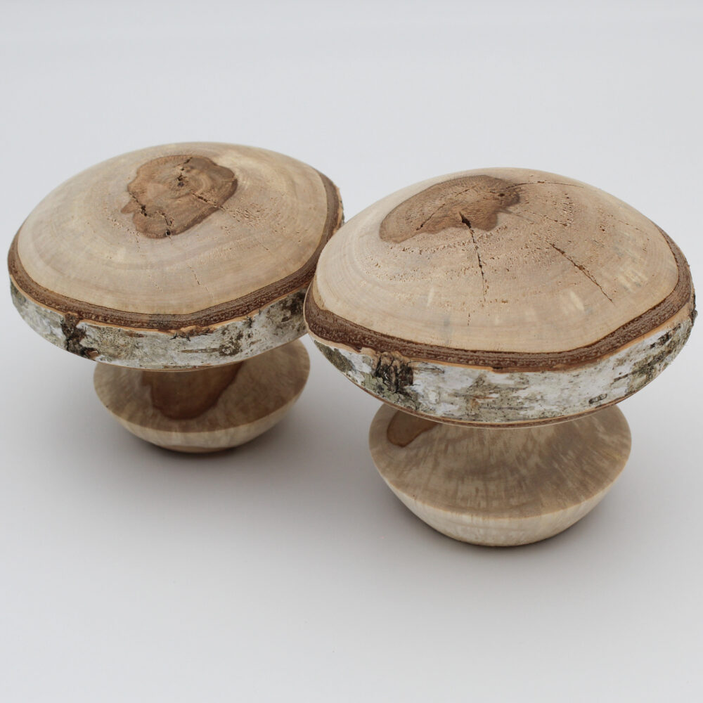 duo champignons décoratifs en bois