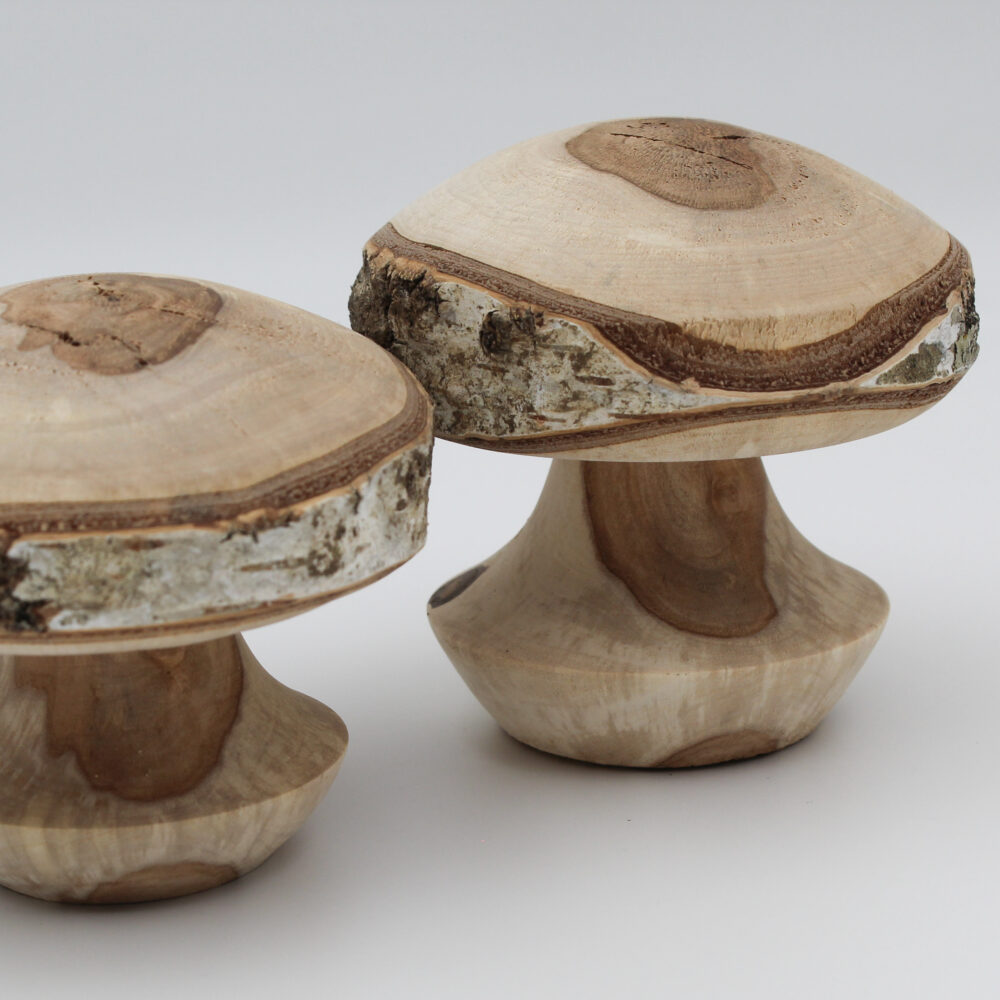 duo champignons décoratifs en bois