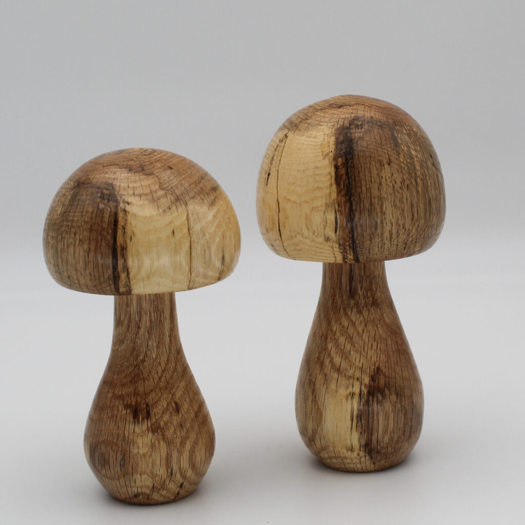 duo champignons décoratifs en bois