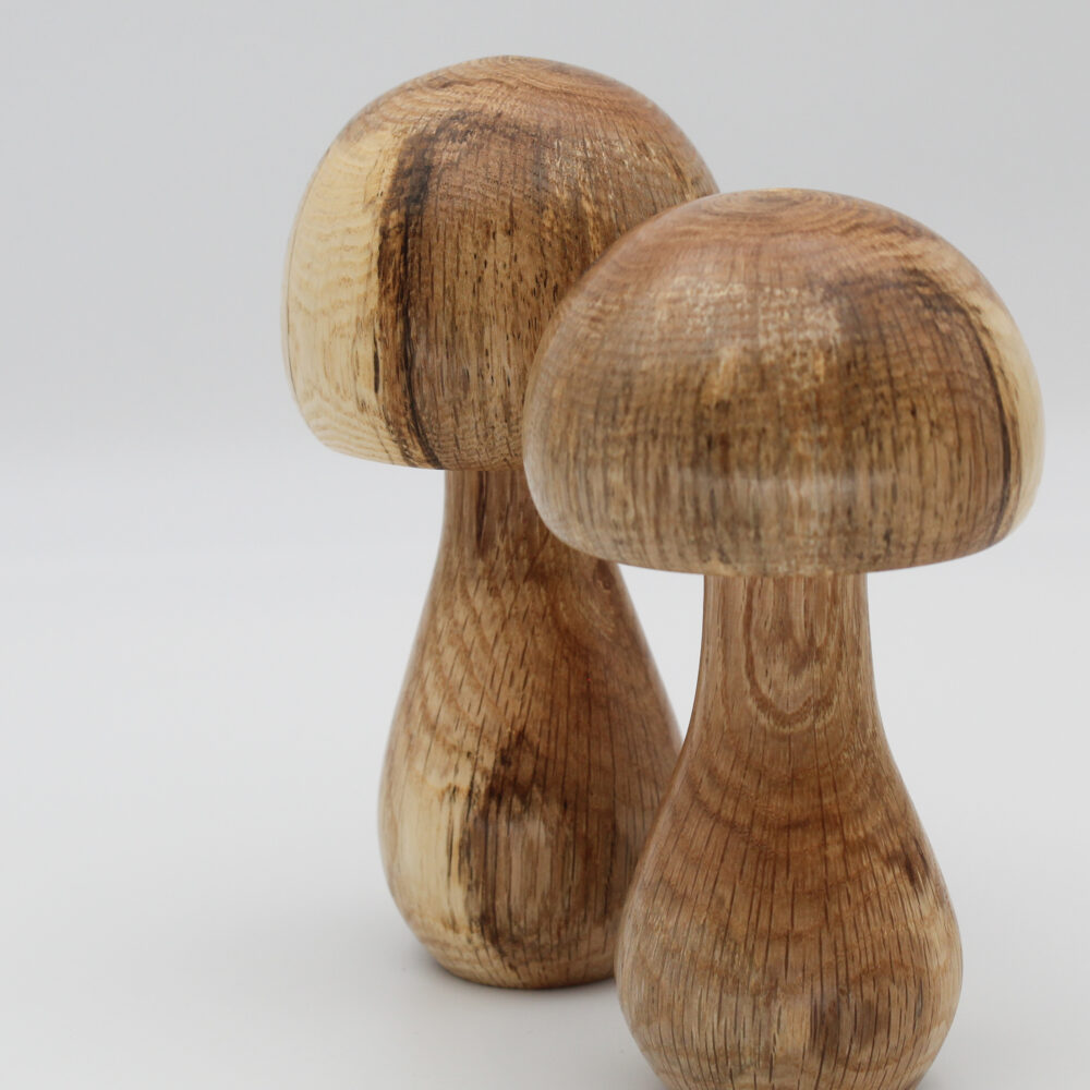 duo champignons décoratifs en bois