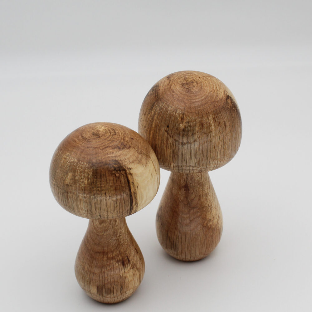 duo champignons décoratifs en bois